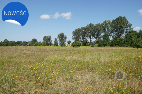 Gorzowski, Deszczno, Działka pod zabudowę mieszkalno - usługową