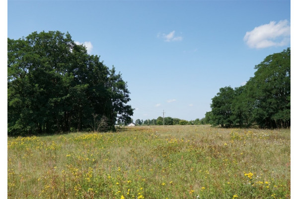 Gorzowski, Deszczno, Działka numer 108/62 w Deszcznie, 68 zł/m2